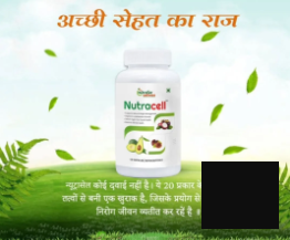 YASHSAVI INTERNATIONAL SIROHI 